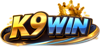 k9win logo